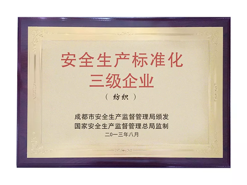 安全生产标准化三级企业